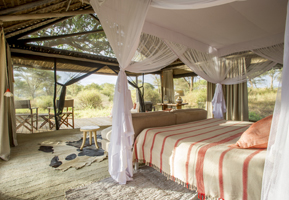 Kuro Camp - Tarangire